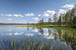 Stampe di Nuvole e alberi riflesso nel lago, ciuffi d'erba, Parco nazionale di Hossa, Ruhtinansa, Suomussalmi, Kainuu, Finlandia Lago Stampe: Nuvole e alberi riflesso nel lago.