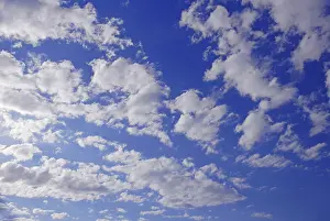 Cumulus Cloud Formation Stampe: Cloudy sky