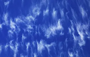 Cloudy Sky Background Stampe: Cloudy sky with feather clouds
