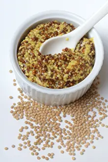 French Mustard Seeds Stampe: Coarse-grained Dijon mustard in shell