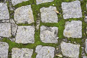 Paving Stone Texture Stampe: Cobbles