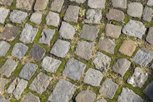 Deserted Cobblestone Street Stampe: Cobblestone, texture, background