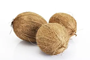 Coconut Nutrition Stampe: Coconuts