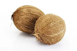 Coconut Nutrition Stampe: Coconuts