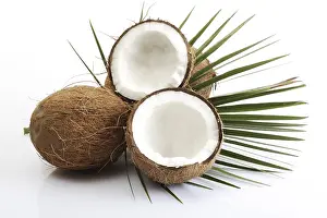 Coconut Nutrition Stampe: Coconuts, one halved, palm leaf