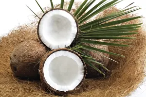 Palm Leaf Photography Stampe: Coconuts, one halved, palm leaf