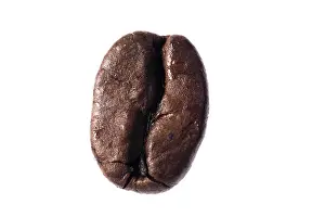 Coffee Bean Macro Photography Stampe: Coffee bean