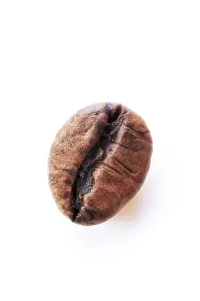 Coffee Bean Stampe: Coffee bean