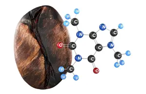 White Background Coffee Stampe: Coffee bean with caffeine molecule