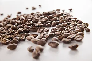 Stampe di Fagiolo di caffè su sfondo bianco. Aroma. Caffè nero Arabica Stampe: Fagiolo di Caffè su sfondo bianco.