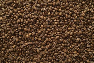 Studio Shot Backgrounds Stampe: Coffee Beans