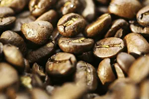 Brown Coffee Beans Stampe: Coffee beans