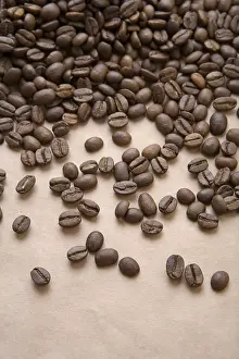 Deserted Coffee Shop Stampe: Coffee on a paper