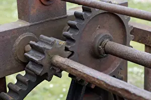 Cogwheel Technology Stampe: Cog wheels