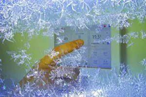 Alternative Energy Germany Stampe: Cold winter, digital heating control