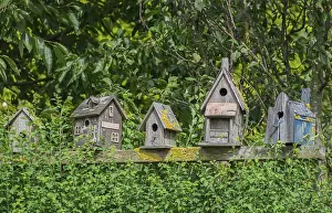 Nesting Aid For Birds Stampe: Collection of weathered nesting boxes