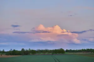 Colored Clouds Germany Stampe: Colored clouds at sunset, Upper Palatinate