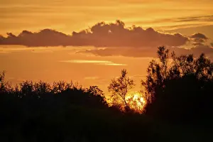 Mellow Evening Atmosphere Stampe: Colored sunset with a cloud in the sky