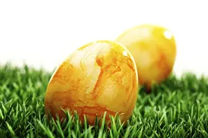 Easter Eggs On Grass Stampe: Coloured easter eggs on grass