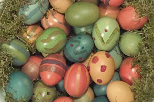 Close Up Easter Egg Stampe: Coloured Easter eggs in the moss