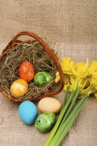Coloured Eggs Stampe: Coloured eggs