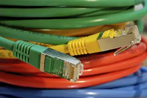 Coloured Network Cables Stampe: Coloured network cables for computer
