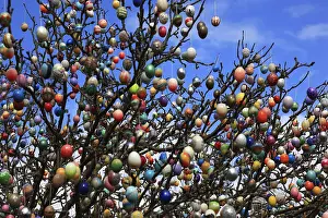 Colorful Easter Traditions Stampe: Many colourful Easter eggs on a tree
