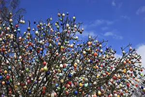 Colorful Easter Egg Display Stampe: Many colourful Easter eggs on a tree