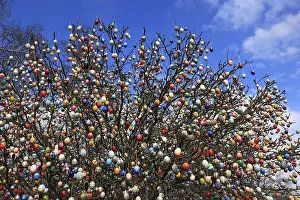 Multicoloured Easter Eggs Stampe: Many colourful Easter eggs on a tree