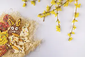 Decorated Easter Cookies Stampe: Colourfully decorated Easter biscuits in a nest