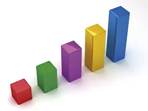 Computer Graphic Design Stampe: Column chart