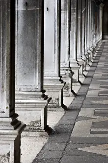 Italian Architecture Stampe: Columns