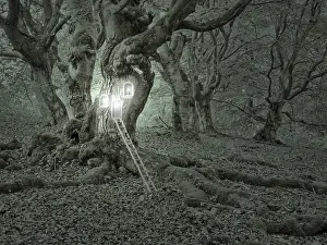 Symbolic Landscape Photography Stampe: Compose: Treehouse