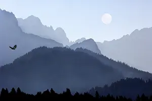 Mountain Peak Scenery Stampe: COMPOSING moon eagle