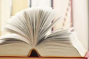 Composition With Books Stampe: Composition with books on the table