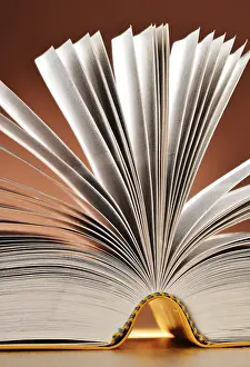 Composition With Books Stampe: Composition with books on the table