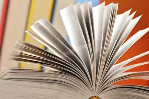 Uninhabited Table Setting Stampe: Composition with books on the table