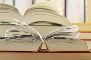 Composition With Books Stampe: Composition with books on the table