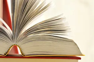 Composition With Books Stampe: Composition with books on the table