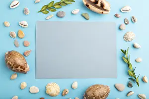 Pastel Color Decorative Item Stampe: Composition with gray paper sheet