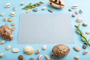 Studio Photography Concept Image Stampe: Composition with gray paper sheet