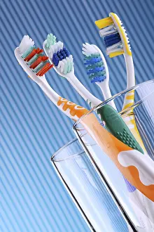 Hygienic Bathroom Scene Stampe: Composition with four toothbrushes