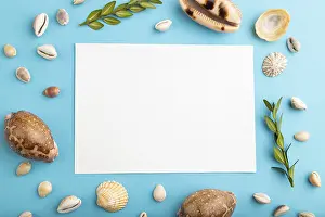Blue Pastel Background Still Life Stampe: Composition with white paper sheet