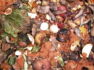 Vegetable Garden Stampe: Compost