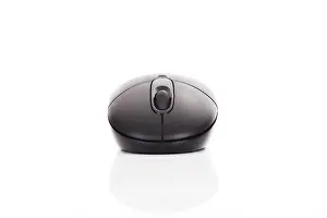 Electronic Equipment Stampe: Computer mouse