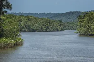 Guiana Francese Stampe: Il fiume Comte scorre attraverso la giungla.
