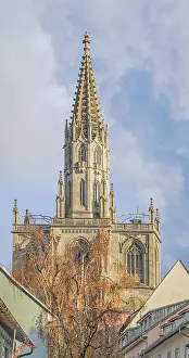 Southern Germany Church Stampe: Constance Minster