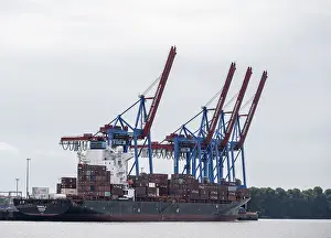 Container Ship Hamburg Stampe: Container ship, loading cranes and stacks of containers