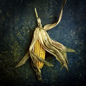 Corn On The Cob Stampe: Corn on the cob