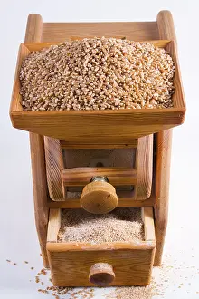 Healthy Eating Food Stampe: Corn mill with wheat